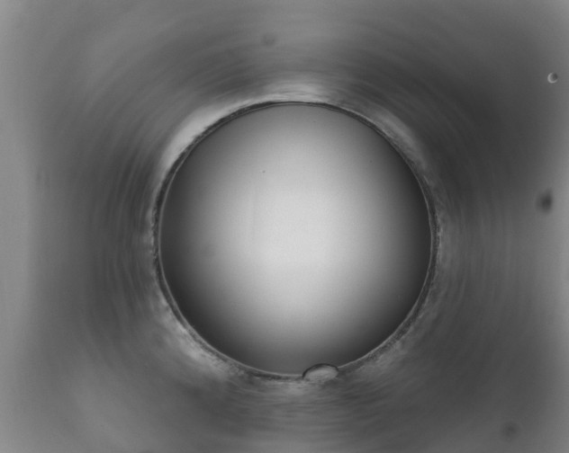 X0000112361192200908201456