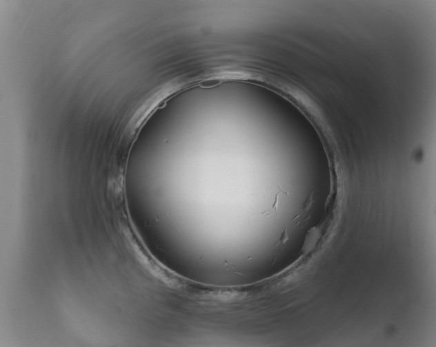 X0000112361193200908201456