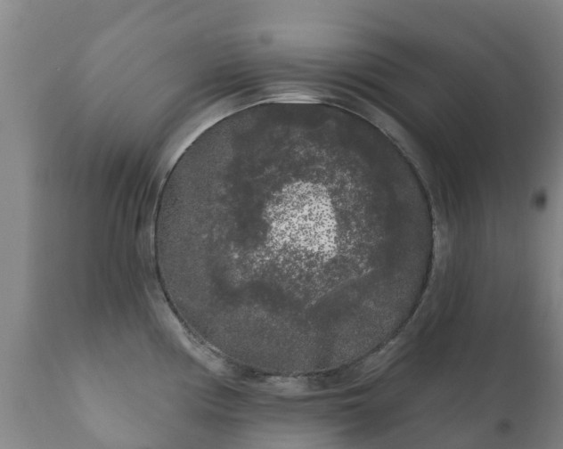 X0000112361194200908201456