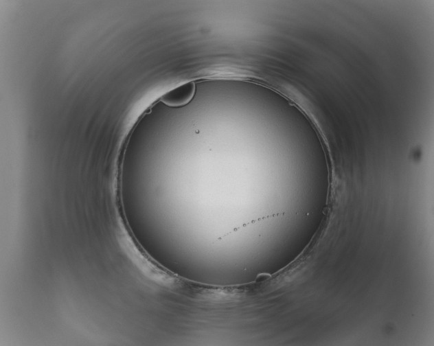 X0000112361195200908201456