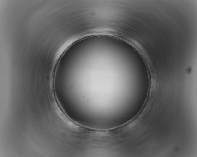 X0000112361196200908201456