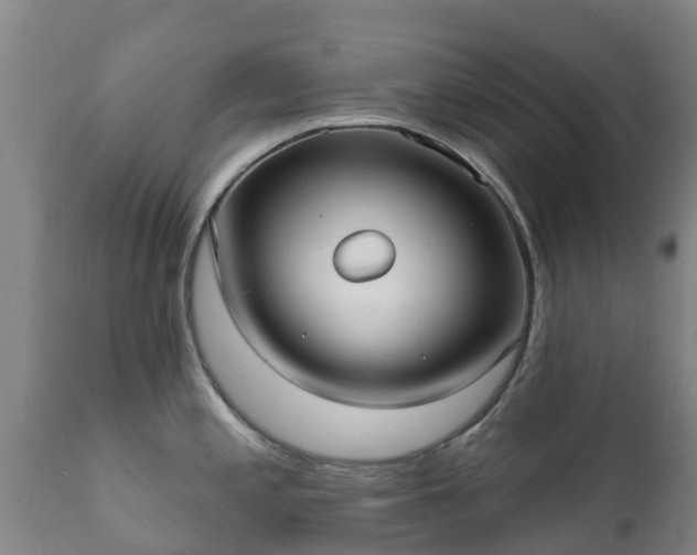 X0000112361197200908201456