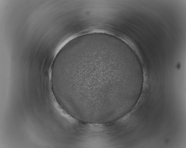 X0000112361198200908201456