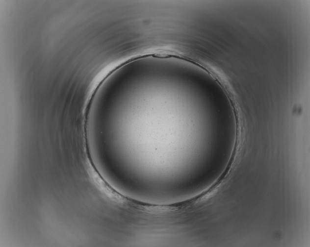 X0000112361200200908201456