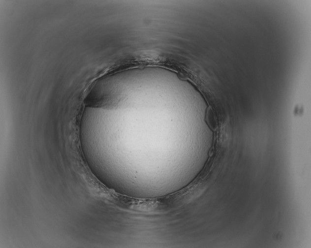 X0000112361201200908201455