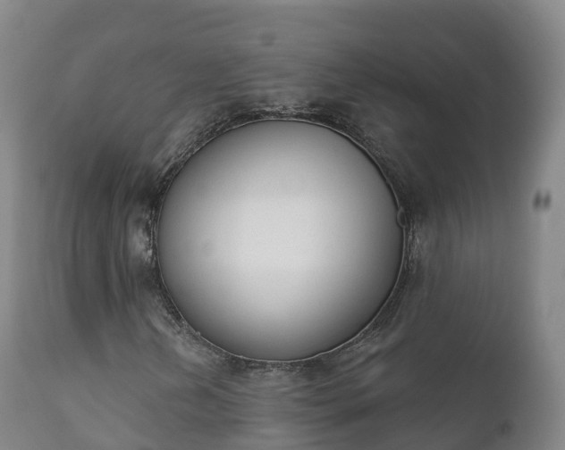 X0000112361202200908201455