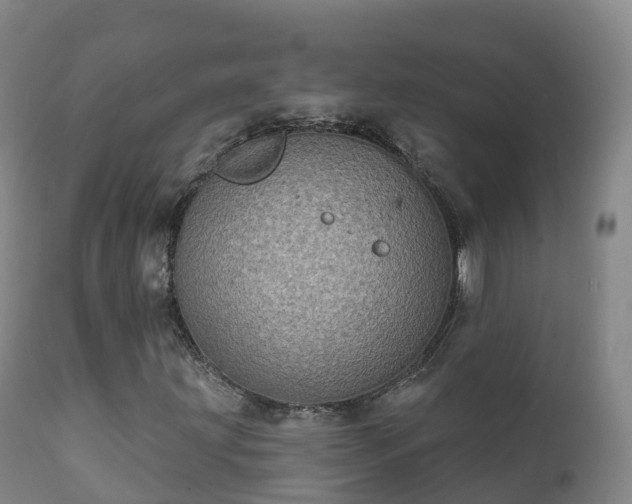 X0000112361203200908201455