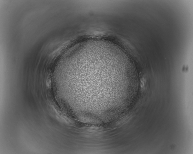 X0000112361204200908201455