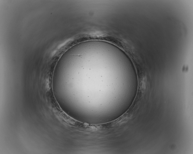 X0000112361205200908201455