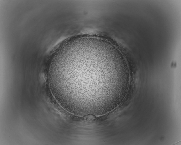 X0000112361206200908201455