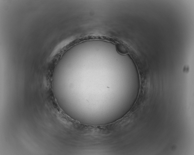 X0000112361207200908201455