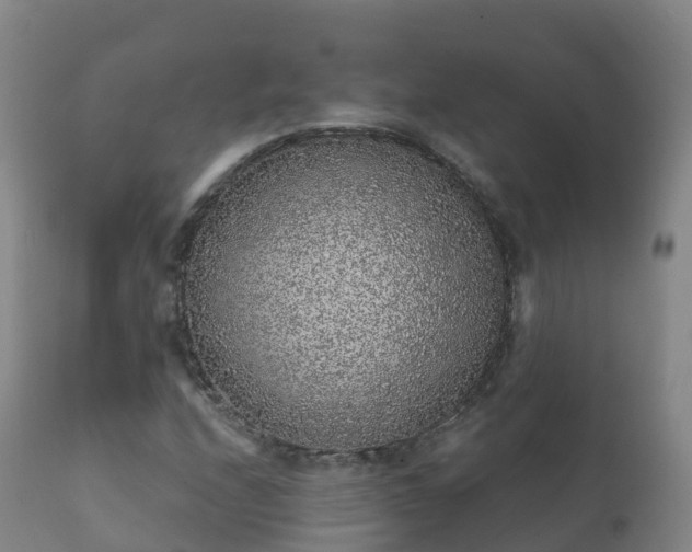 X0000112361208200908201455