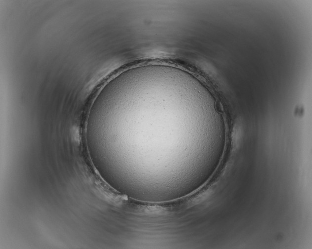 X0000112361209200908201455