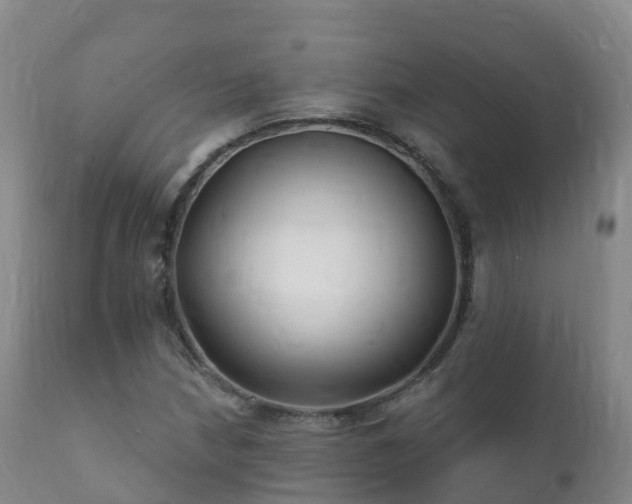 X0000112361210200908201455