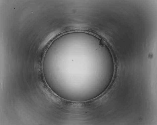 X0000112361211200908201455