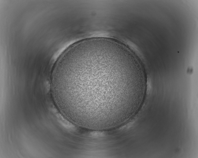 X0000112361212200908201455