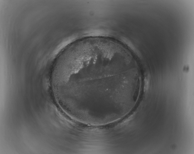 X0000112361213200908201455