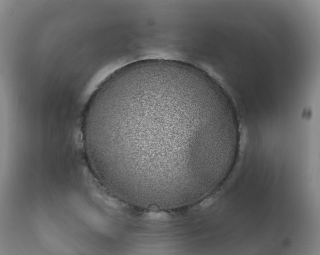 X0000112361215200908201455