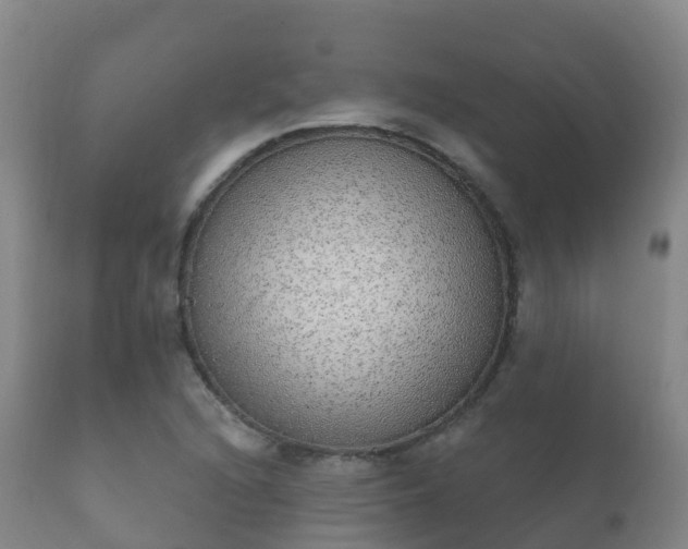 X0000112361216200908201455