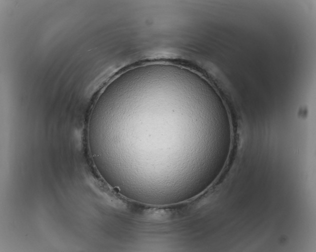 X0000112361217200908201455