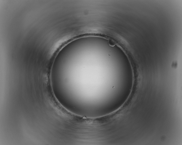 X0000112361218200908201455