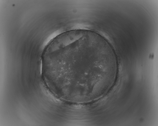 X0000112361219200908201455