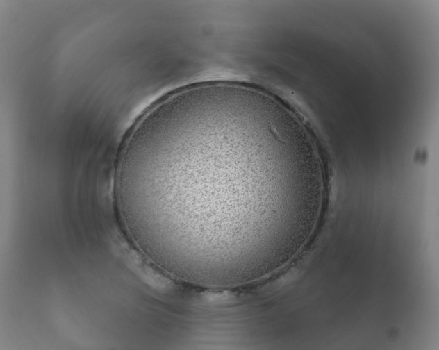 X0000112361220200908201455