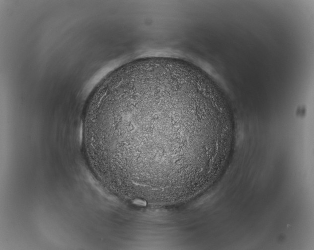 X0000112361221200908201455