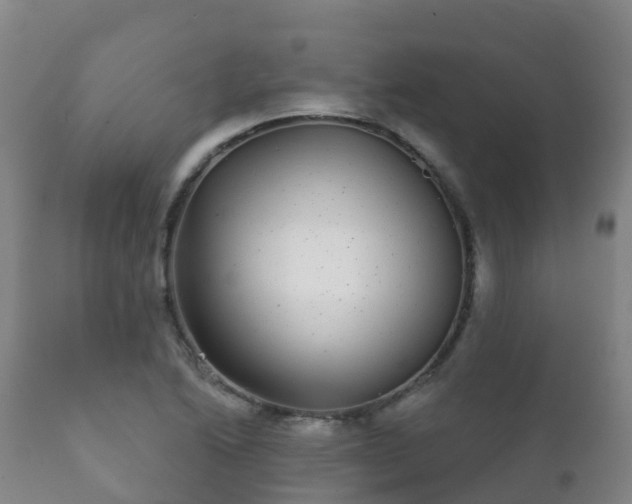 X0000112361222200908201455