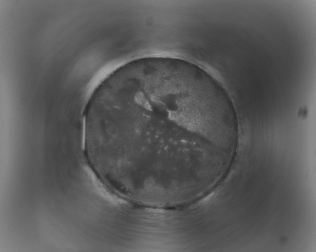 X0000112361223200908201455