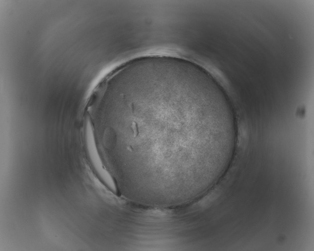 X0000112361224200908201455