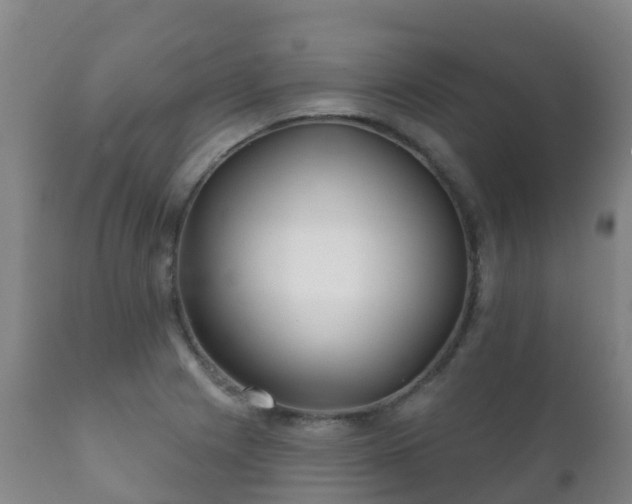 X0000112361225200908201455