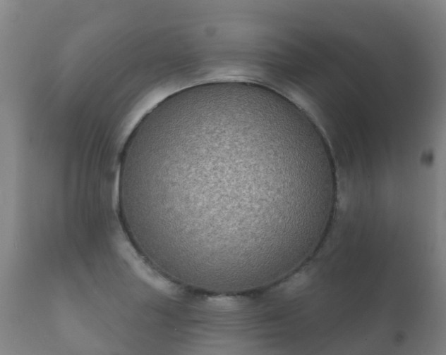 X0000112361227200908201455