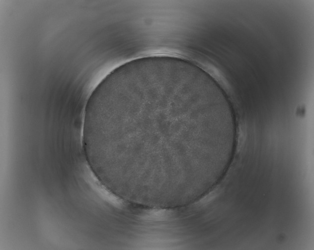 X0000112361228200908201455