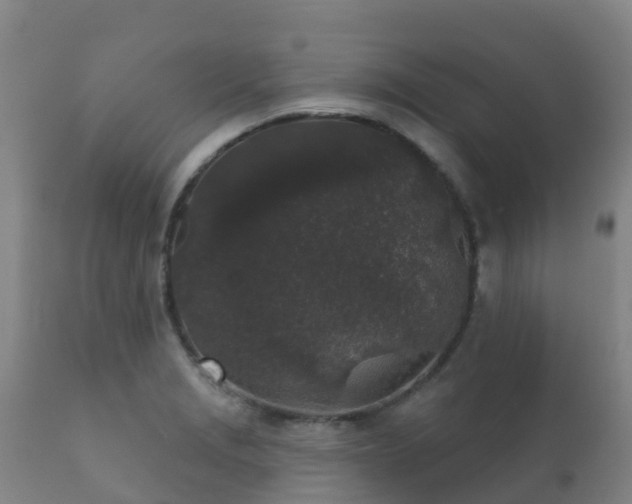 X0000112361229200908201455