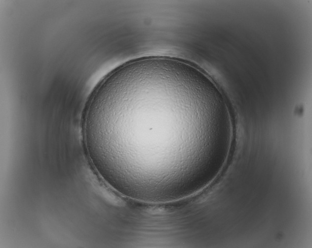 X0000112361230200908201455