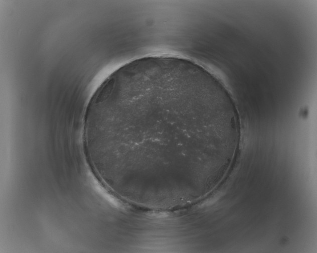 X0000112361231200908201455