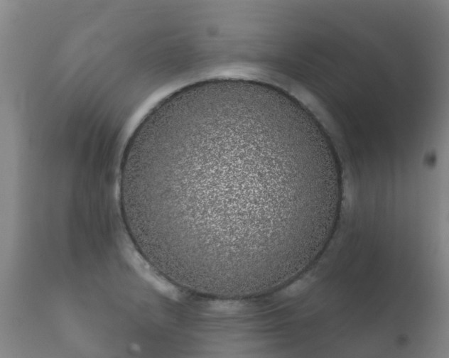 X0000112361232200908201455