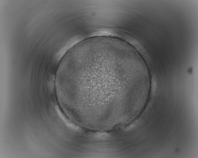 X0000112361233200908201455