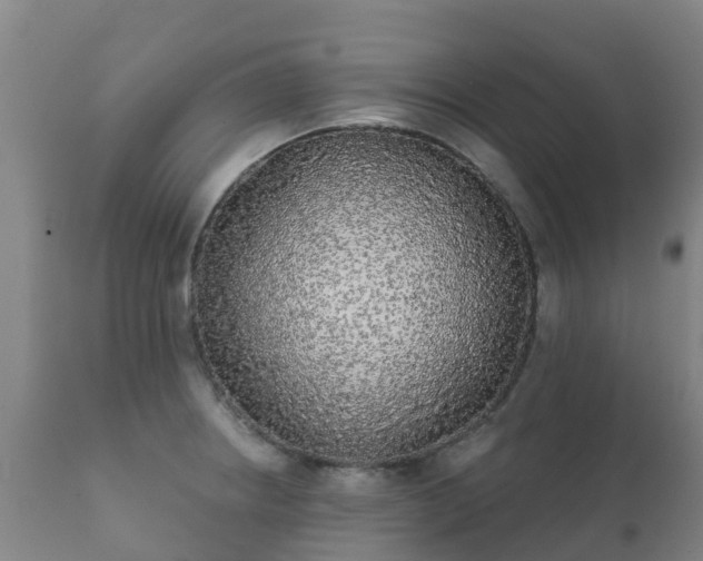 X0000112361234200908201455