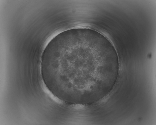 X0000112361235200908201455