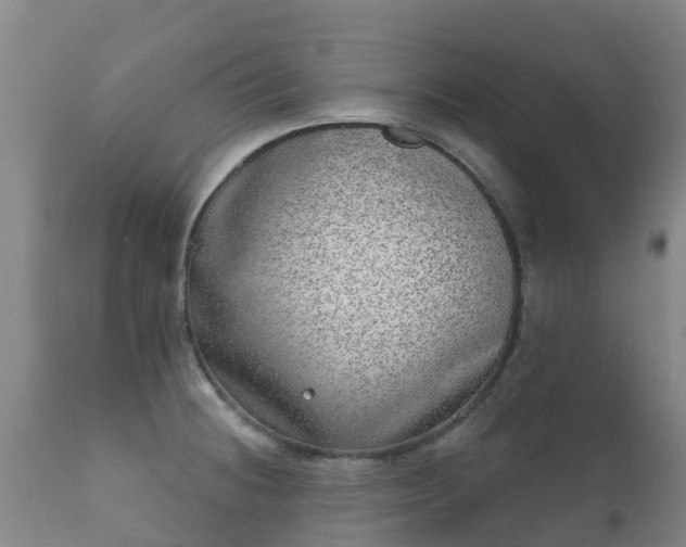 X0000112361236200908201455