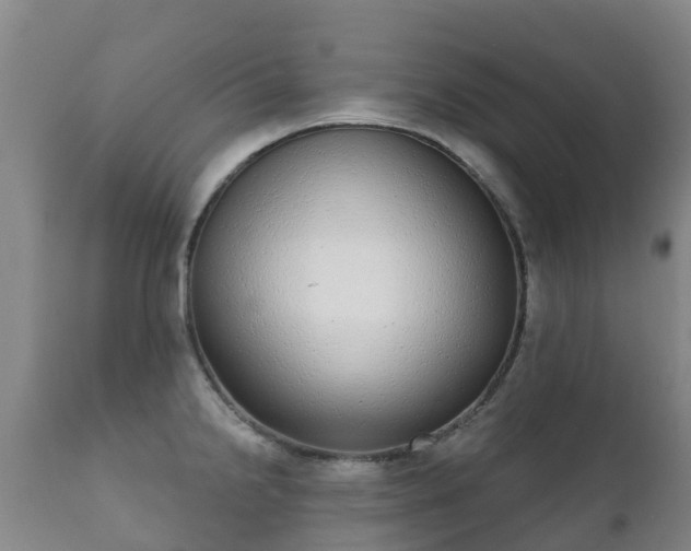 X0000112361238200908201455