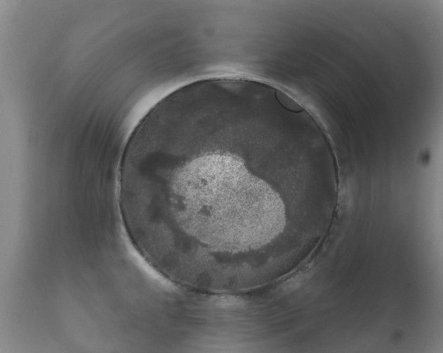 X0000112361239200908201455