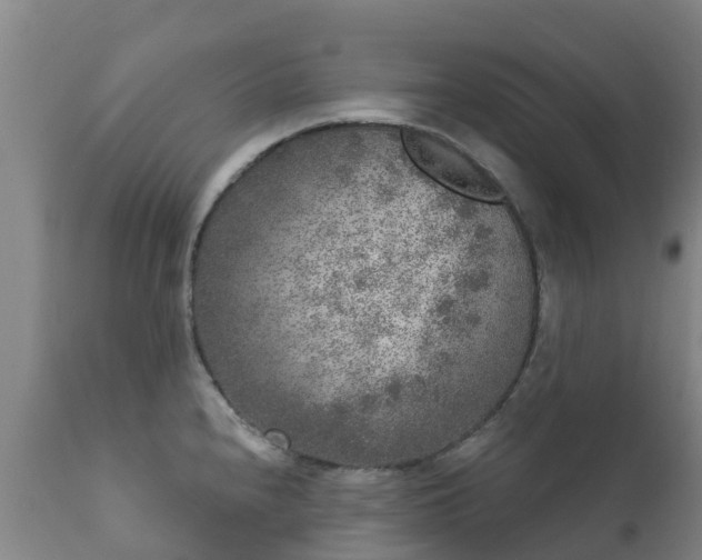 X0000112361240200908201455