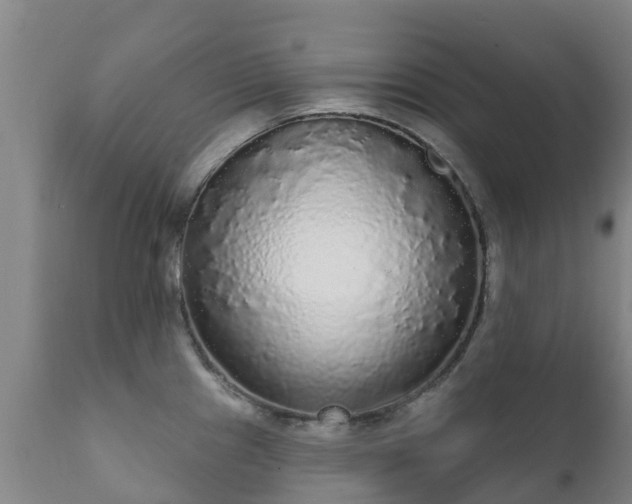 X0000112361241200908201455