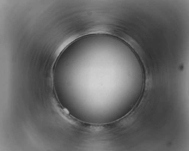 X0000112361242200908201455