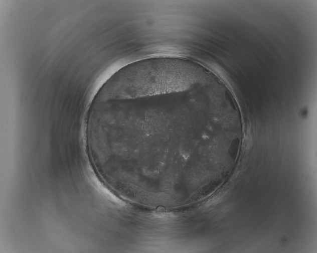 X0000112361243200908201455