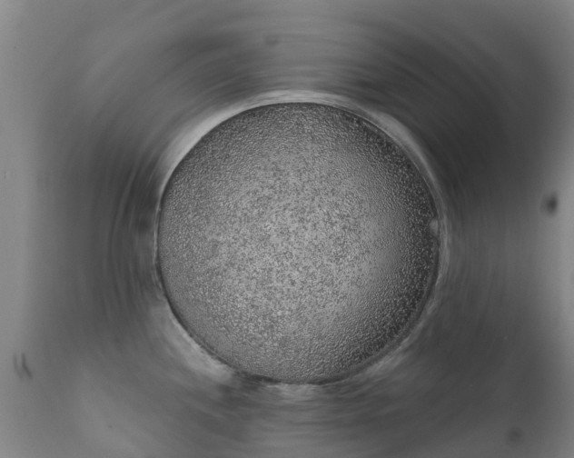 X0000112361244200908201456