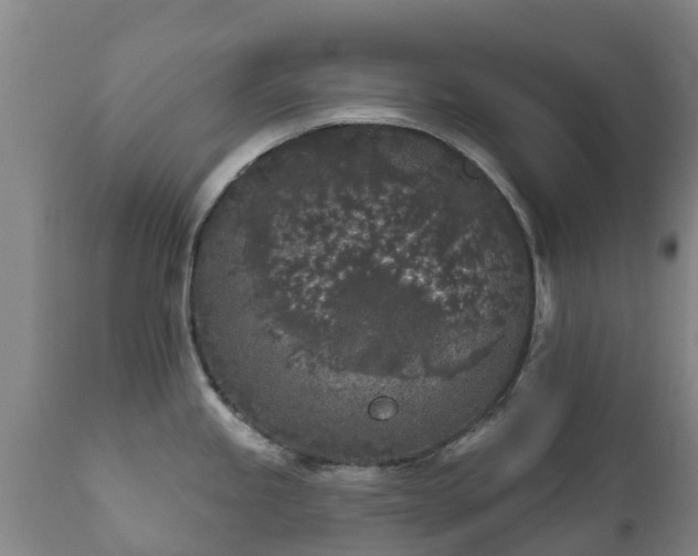 X0000112361245200908201456